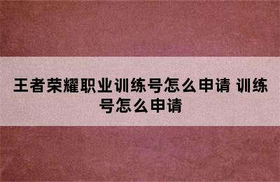 王者荣耀职业训练号怎么申请 训练号怎么申请